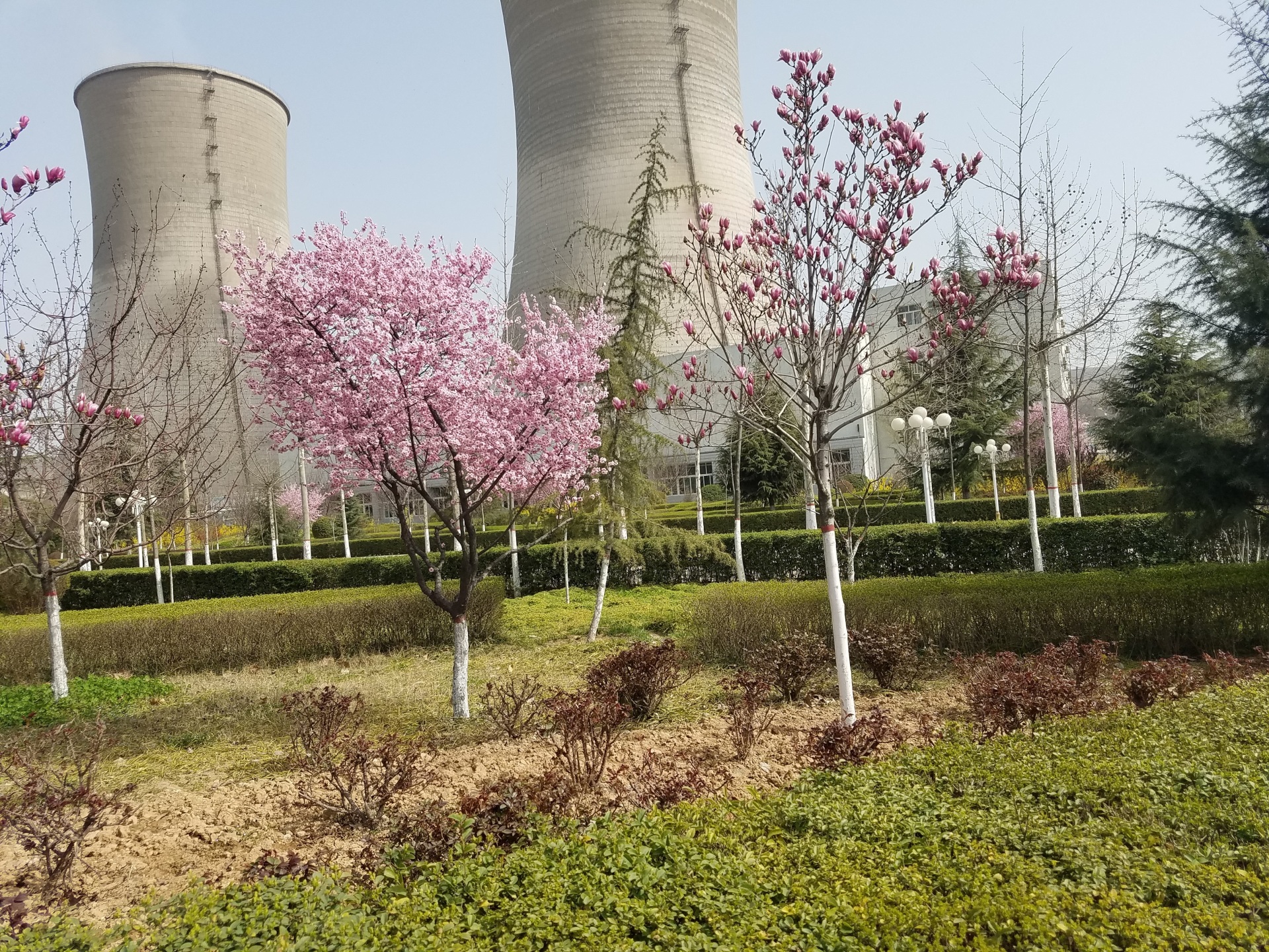 宝鸡电厂#4空预器在线清洗