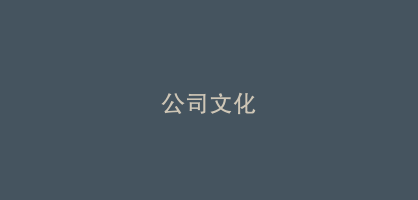 公司文化