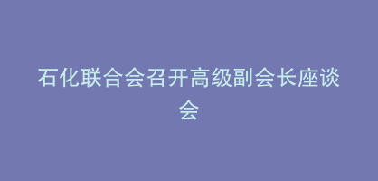 石化联合会召开高级副会长座谈会