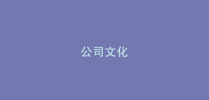 公司文化