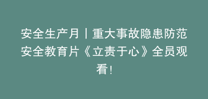 安全生产月丨重大事故隐患防范安全教育片《立责于心》全员观看！