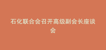 石化联合会召开高级副会长座谈会